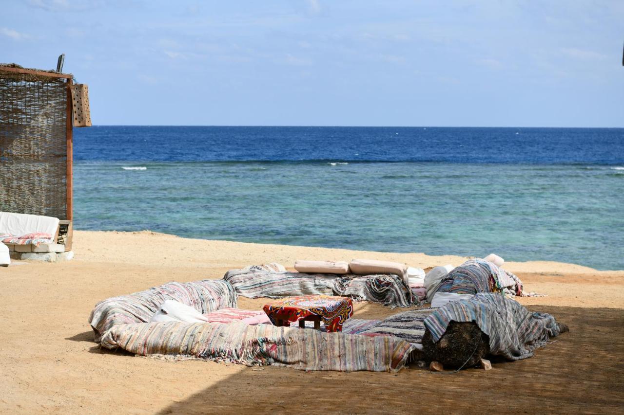 Wadi Lahmy Azur Resort - Soft All-Inclusive Abu Ghusun ภายนอก รูปภาพ